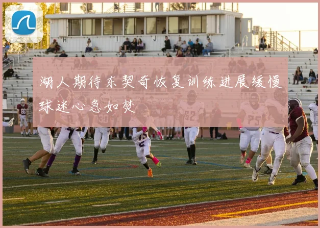 湖人期待东契奇恢复训练进展缓慢球迷心急如焚