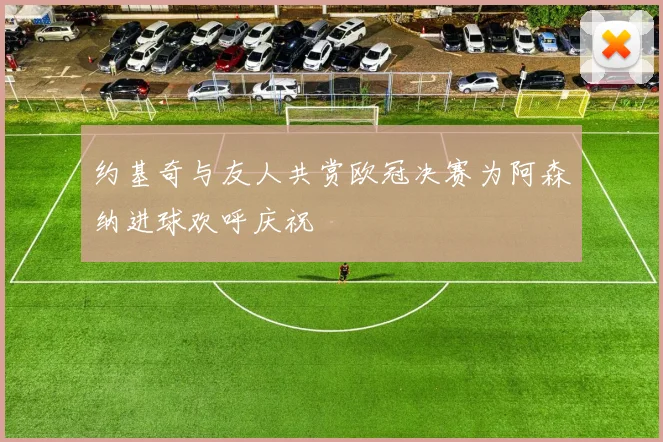 约基奇与友人共赏欧冠决赛为阿森纳进球欢呼庆祝